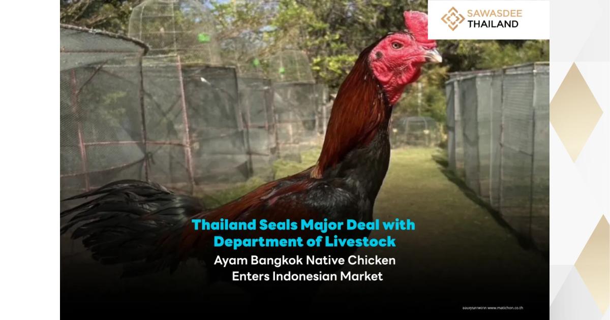 Thailand Seals Major Deal with Department of Livestock Ayam Bangkok ...