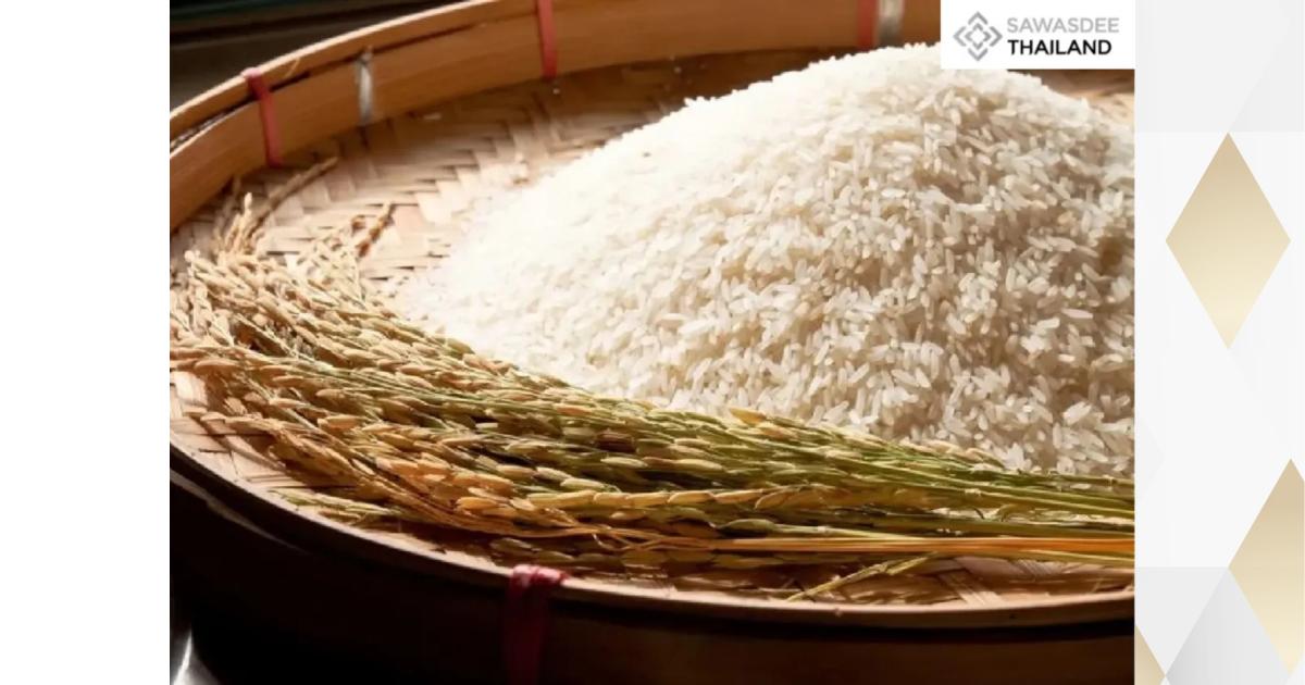 Thailand’s “Exquisite Rice” Strategy Yields 16 Million Baht Export Deal ...