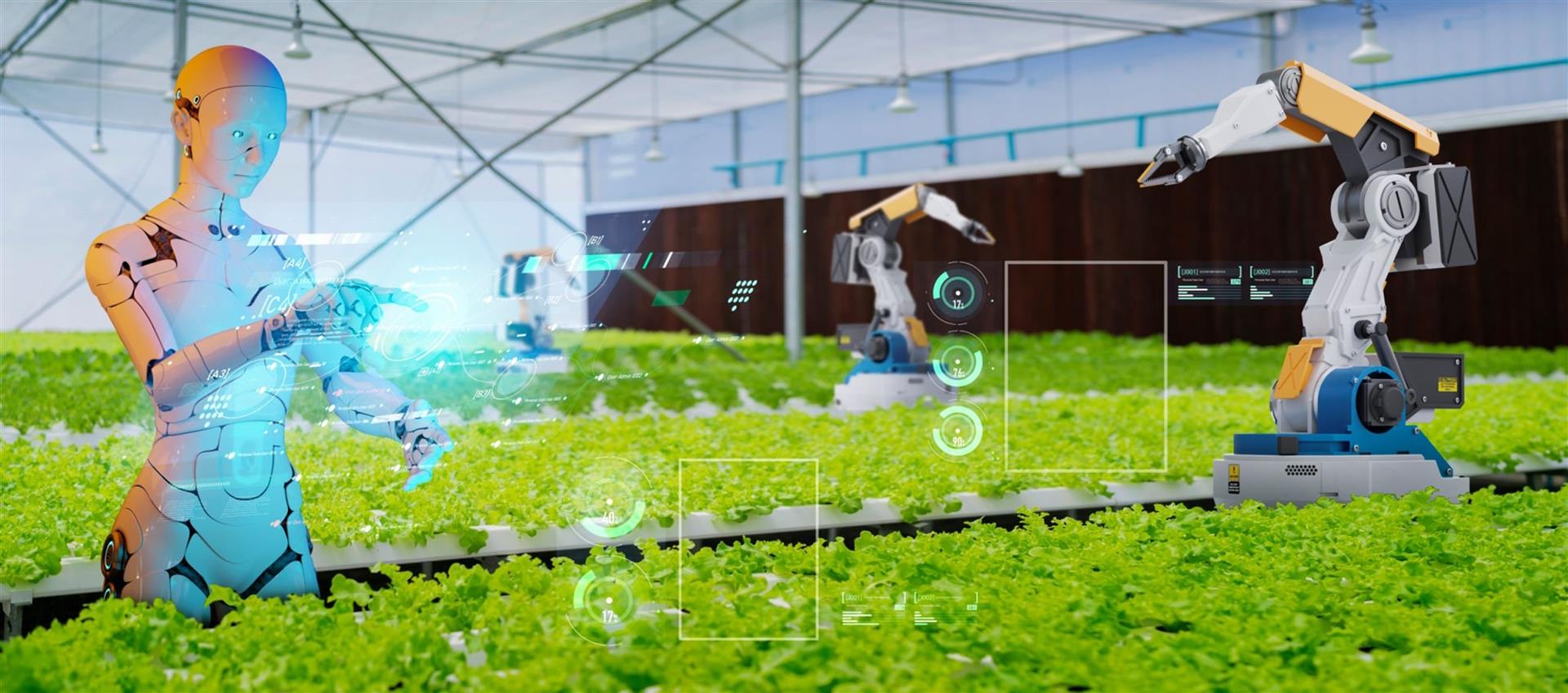 3d-robot-robot-arms-agricultural-industry-robotics-solutions-technology-revolution-robot-weeding-harvesting-nursery-organic-farm-fully-automated-artificial-intelligence-smart-virtual-control.jpg