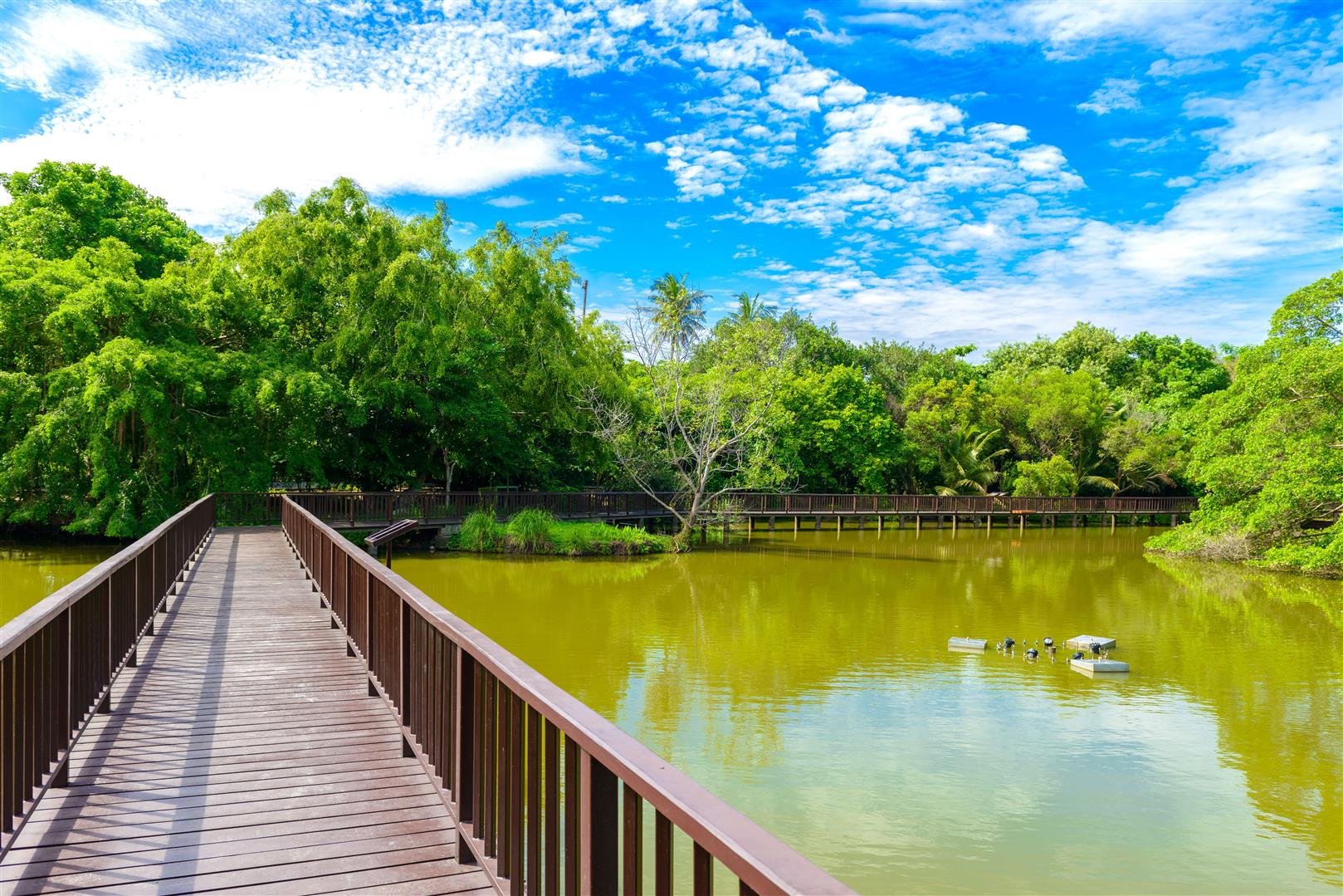 wooden-bridge-walkway-sri-nakhon-khuean-khan-park-botanical-garden.jpg