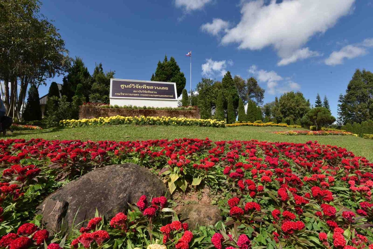 Northeast - Reforestation in honor of Khao Phaeng Ma, Loei Horticultural Research Center, Phu Phan Development Study Center