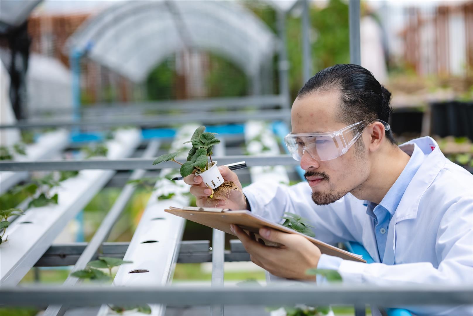 Opportunities to develop Thailand’s agricultural sector with the BCG model and leap forward in research investment in Thailand