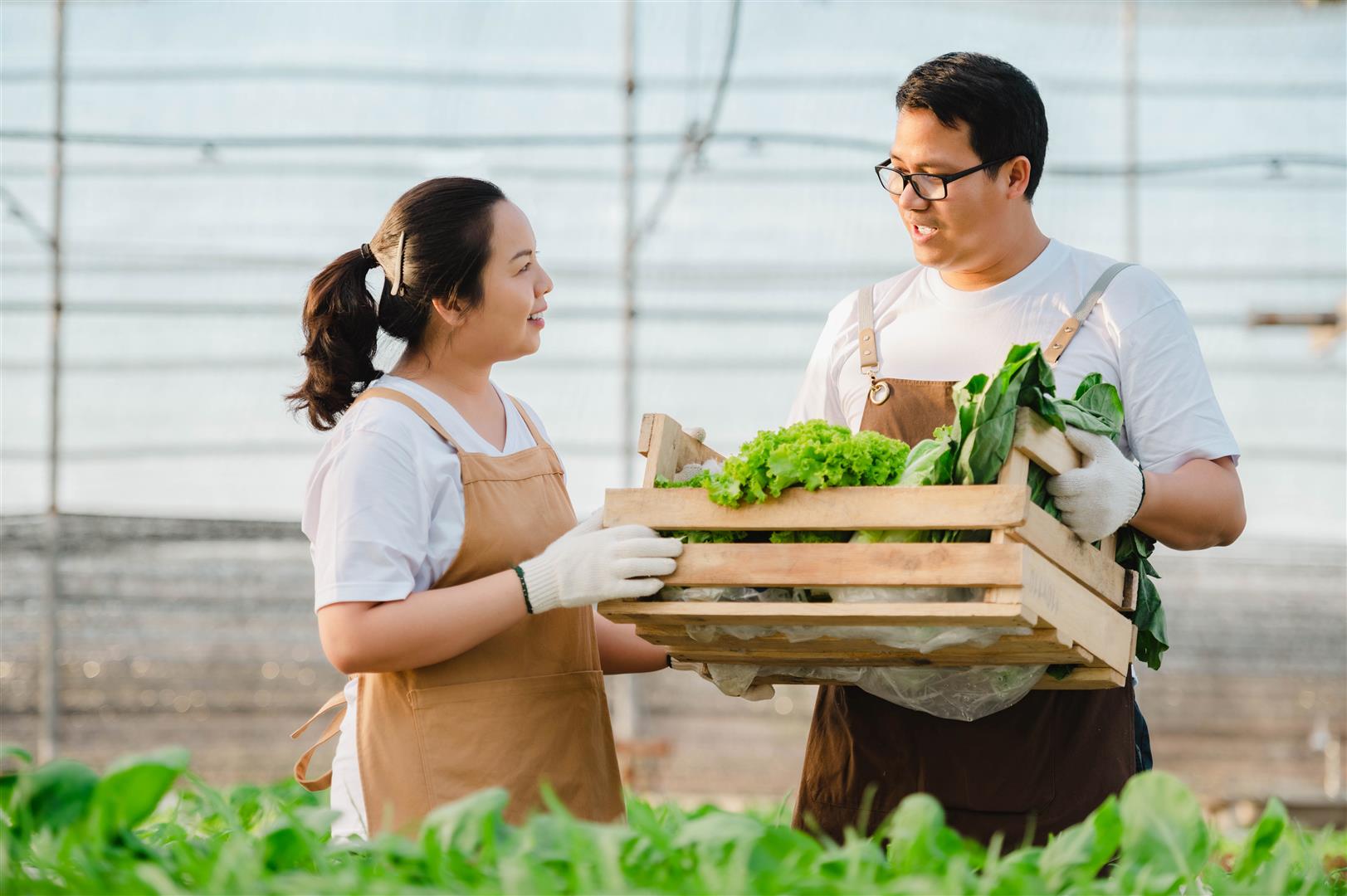 Mechanisms driving the food industry in seven aspects toward the BCG model