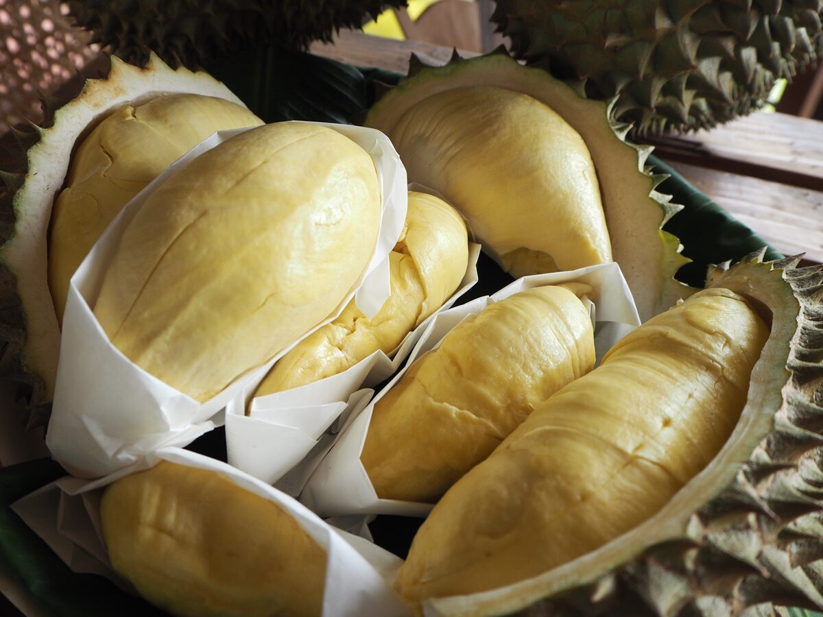 Best GI Sisaket volcano durian