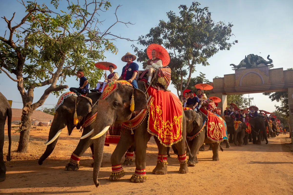 Heiratsurkunde und Trauung auf dem Rücken eines Elefanten