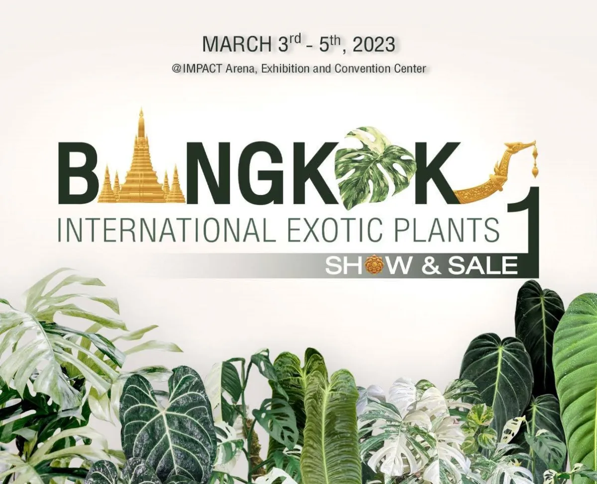 Bangkok International Exotic Plant Show and Sale 1