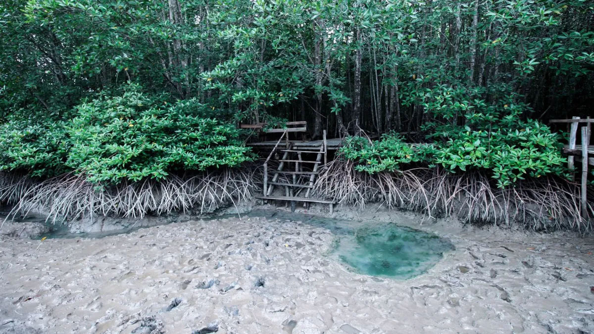 ライフスタイル観光　ケムシガオ温泉　トラン県