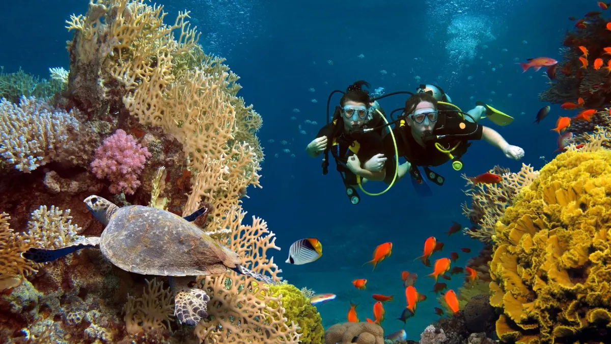 Ratschläge für Reisen auf dem Wasser