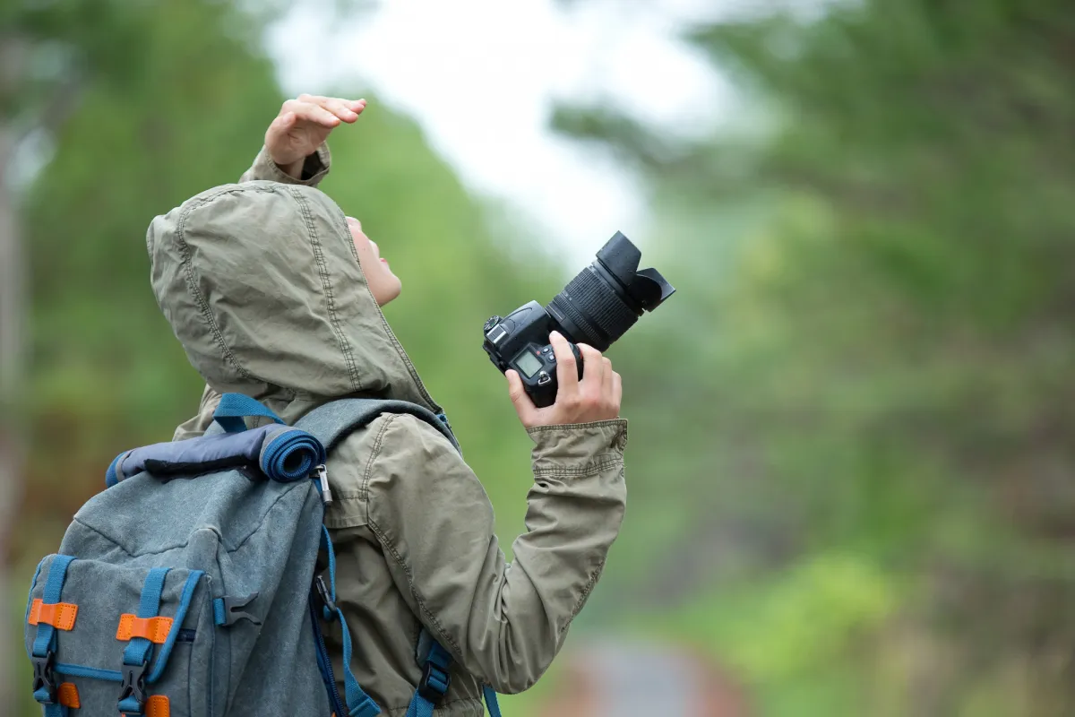 Criteria and methods for applying for permission to shoot foreign films in national parks in the case of multiple-day filming, with animals involved