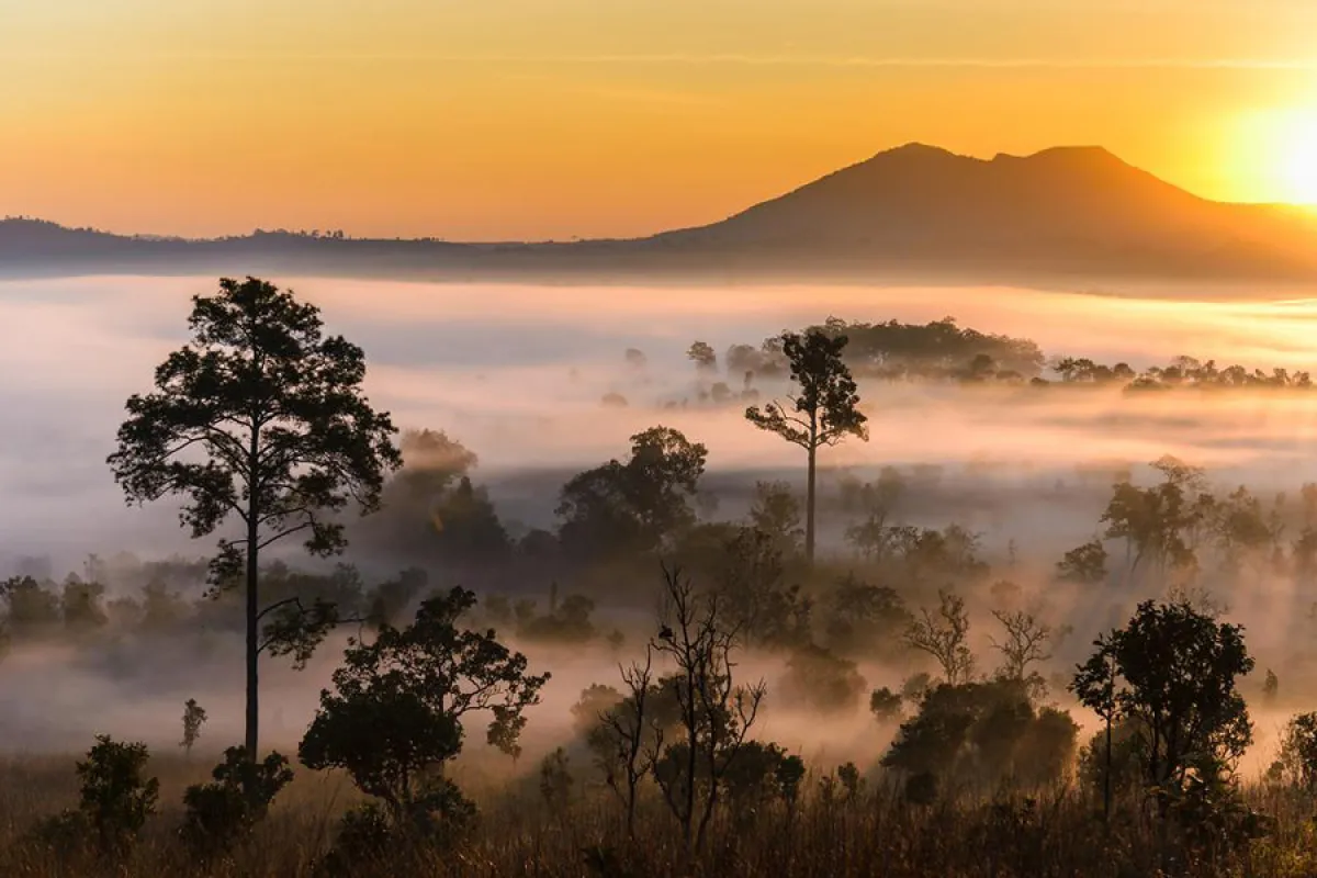 Seven spectacular destinations for the rainy season - Thung Salaeng Luang National Park,  Phetchabun