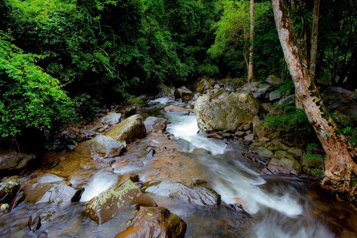 Mutelu Community Tourism: Paying Respect to Forest Spirits at Pa La U Community, Prachuap Khiri Khan