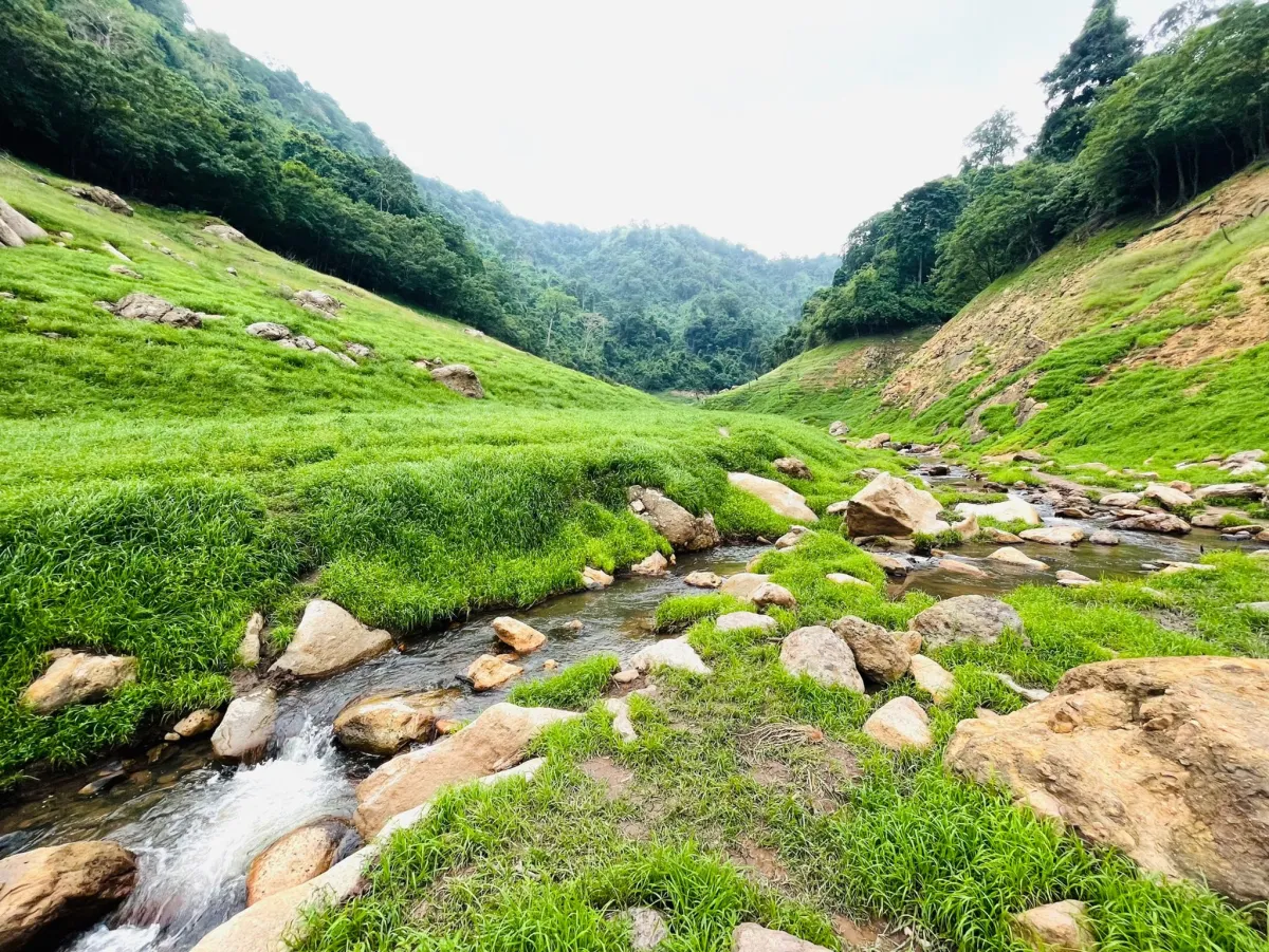 Opening of the Tourist Season at Chong Lom Mountain, Nakhon Nayok Province: The Hidden Beauty beneath the Water