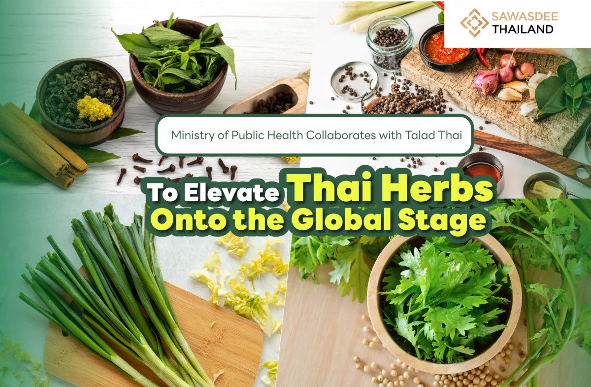 Ministry of Public Health Collaborates with Talad Thai to Elevate Thai Herbs onto the Global Stage