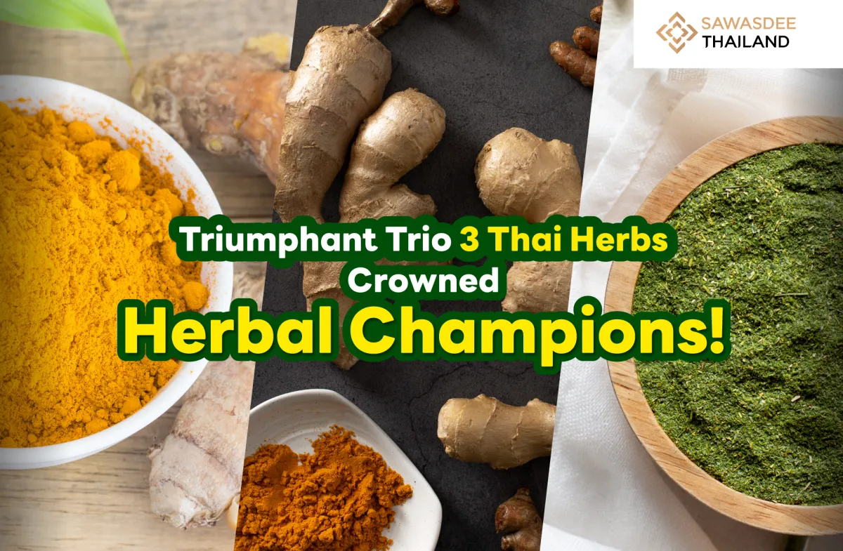 Triumphant Trio: 3 Thai Herbs Crowned Herbal Champions!