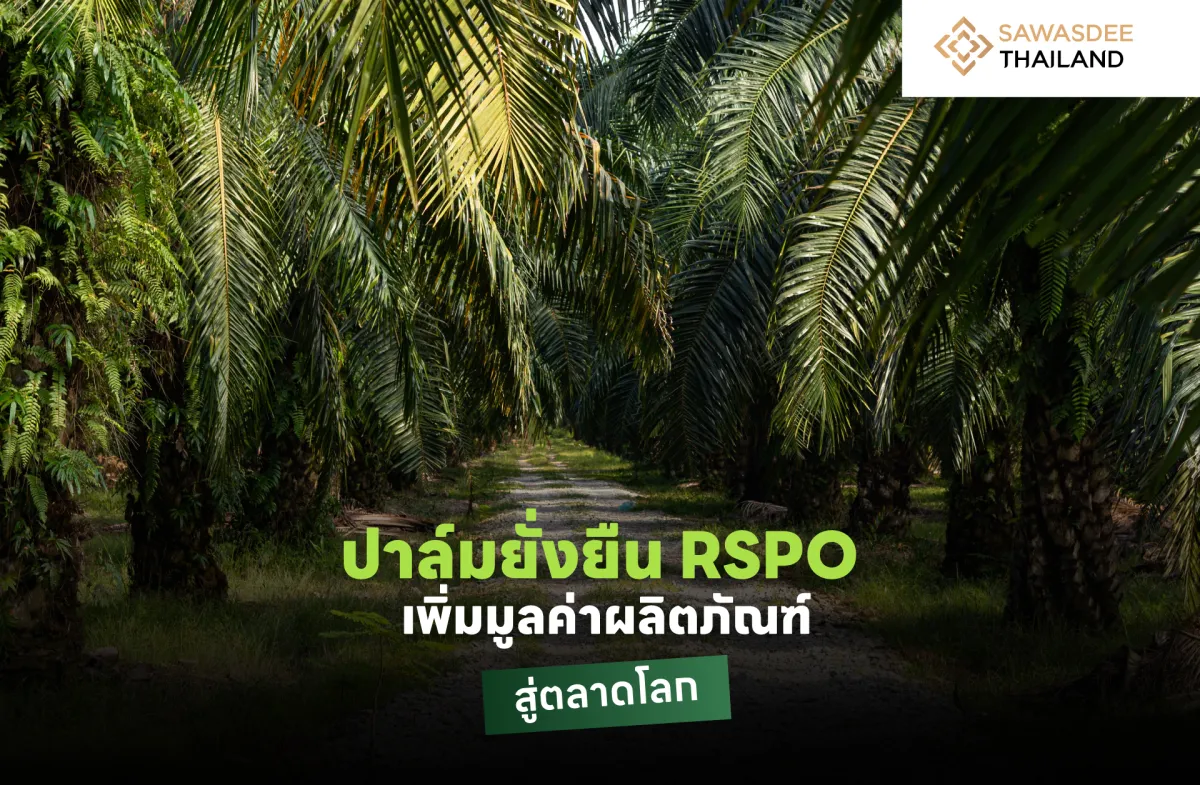 ปาล์มยั่งยืน RSPO เพิ่มมูลค่าผลิตภัณฑ์ สู่ตลาดโลก