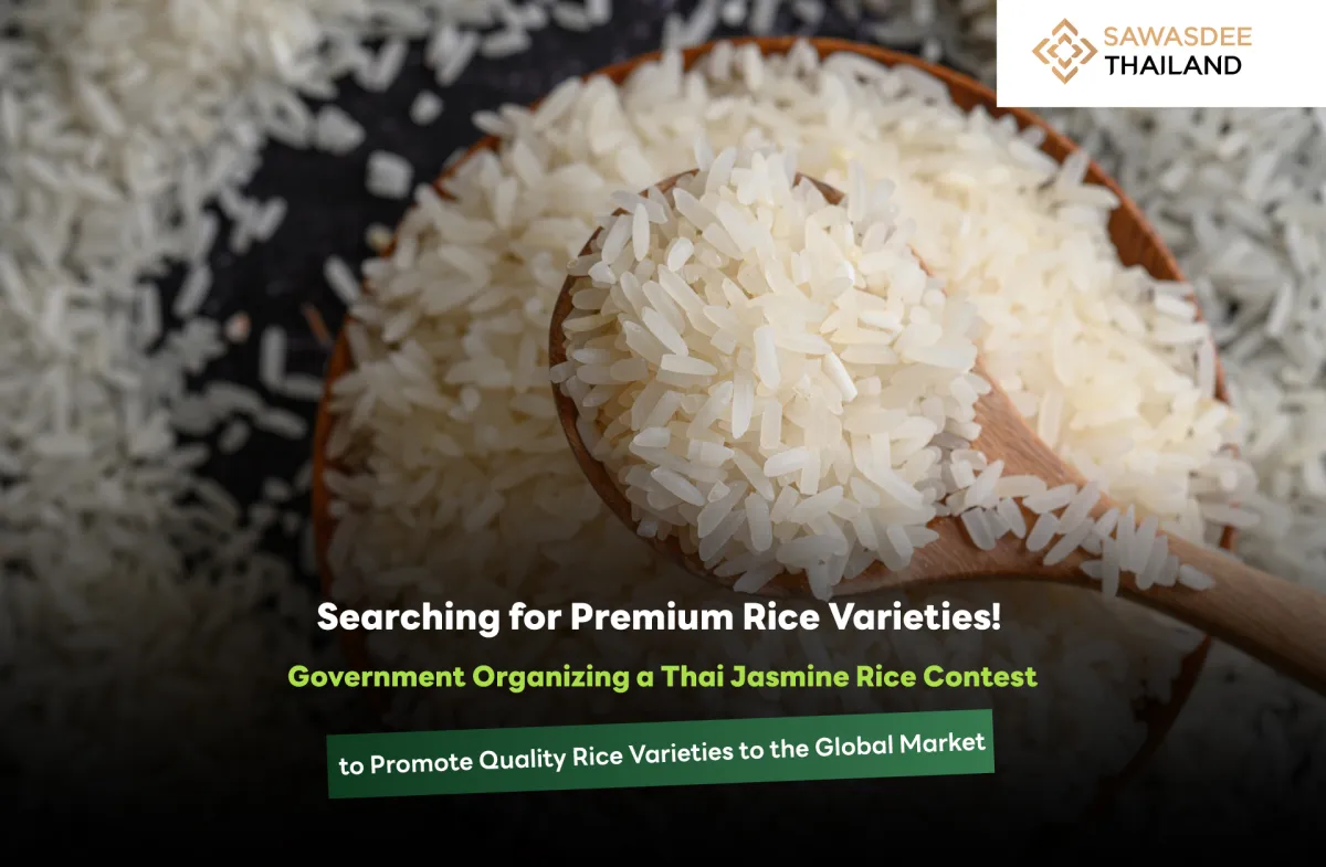 Searching for Premium Rice Varieties! Government Organizing a Thai Jasmine Rice Contest to Promote Quality Rice Varieties to the Global Market.