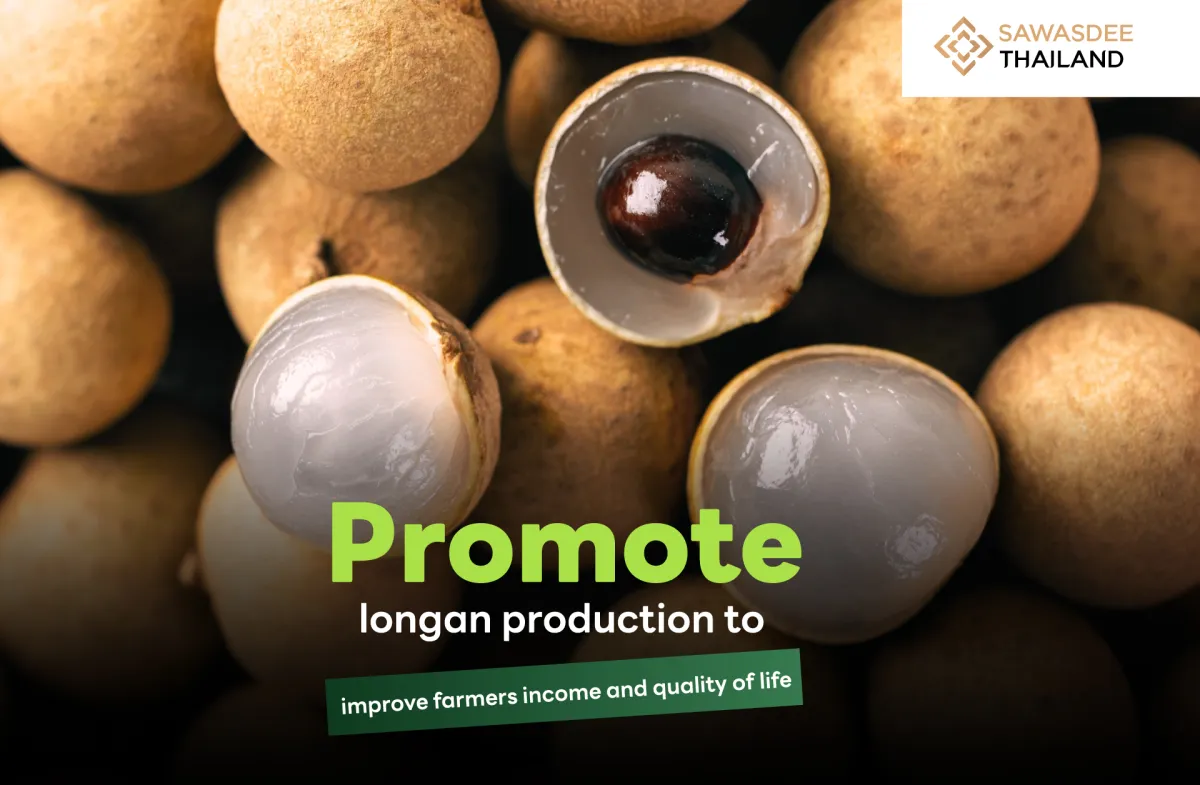 Enhancing Longan Production to Increase Income and Quality of Life for Farmers