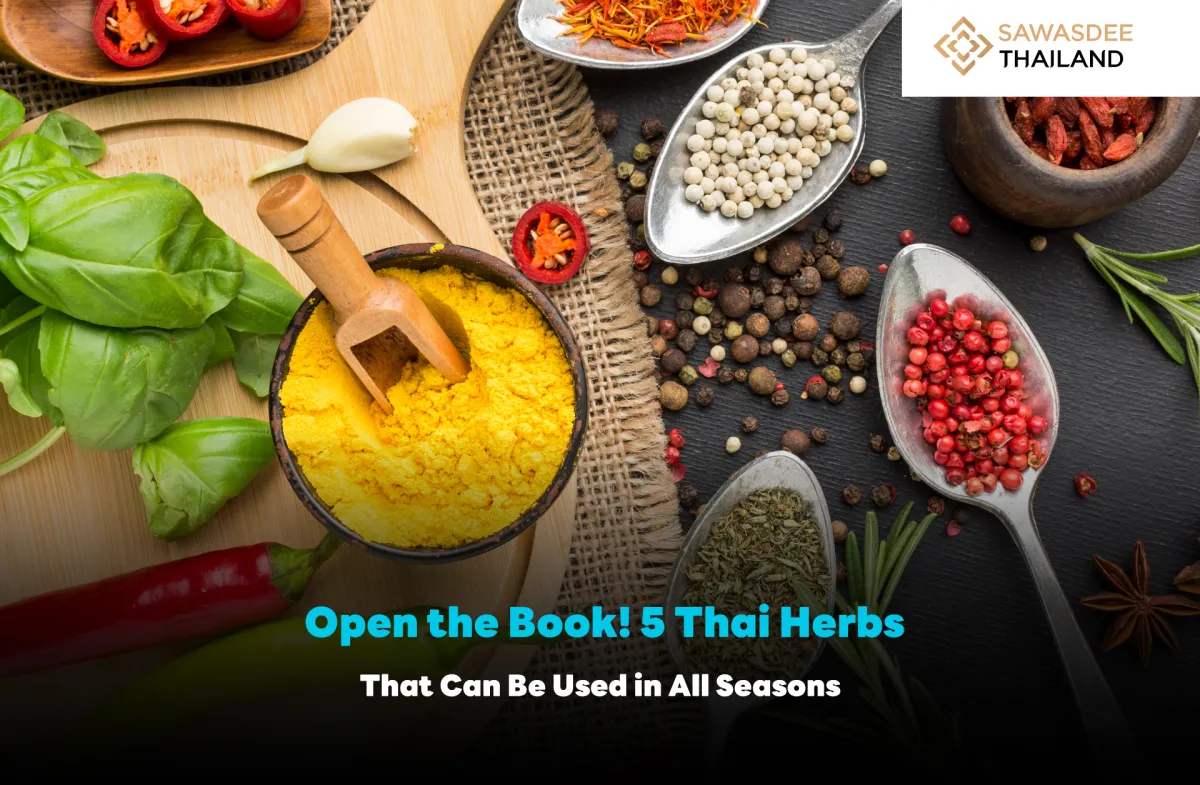 Open the Book! 5 Thai Herbs That Can Be Used in All Seasons