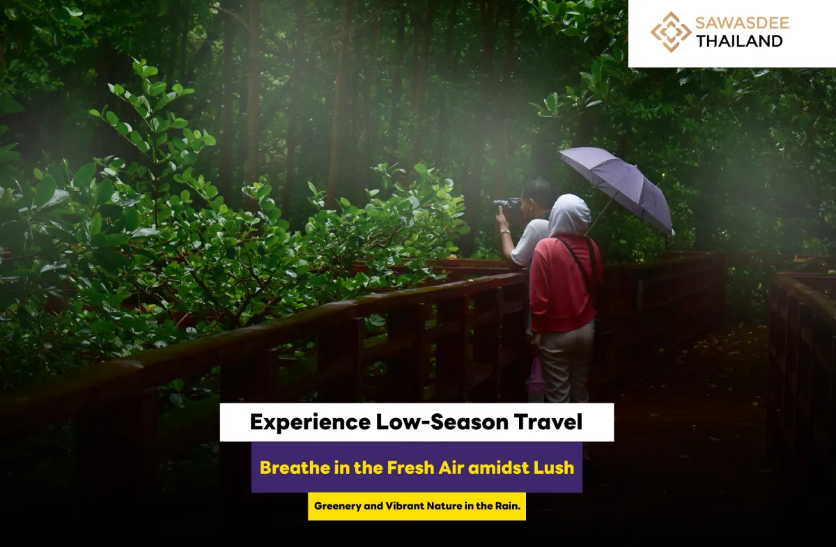 Experience Low-Season Travel, Breathe in the Fresh Air amidst Lush Greenery and Vibrant Nature in the Rain.