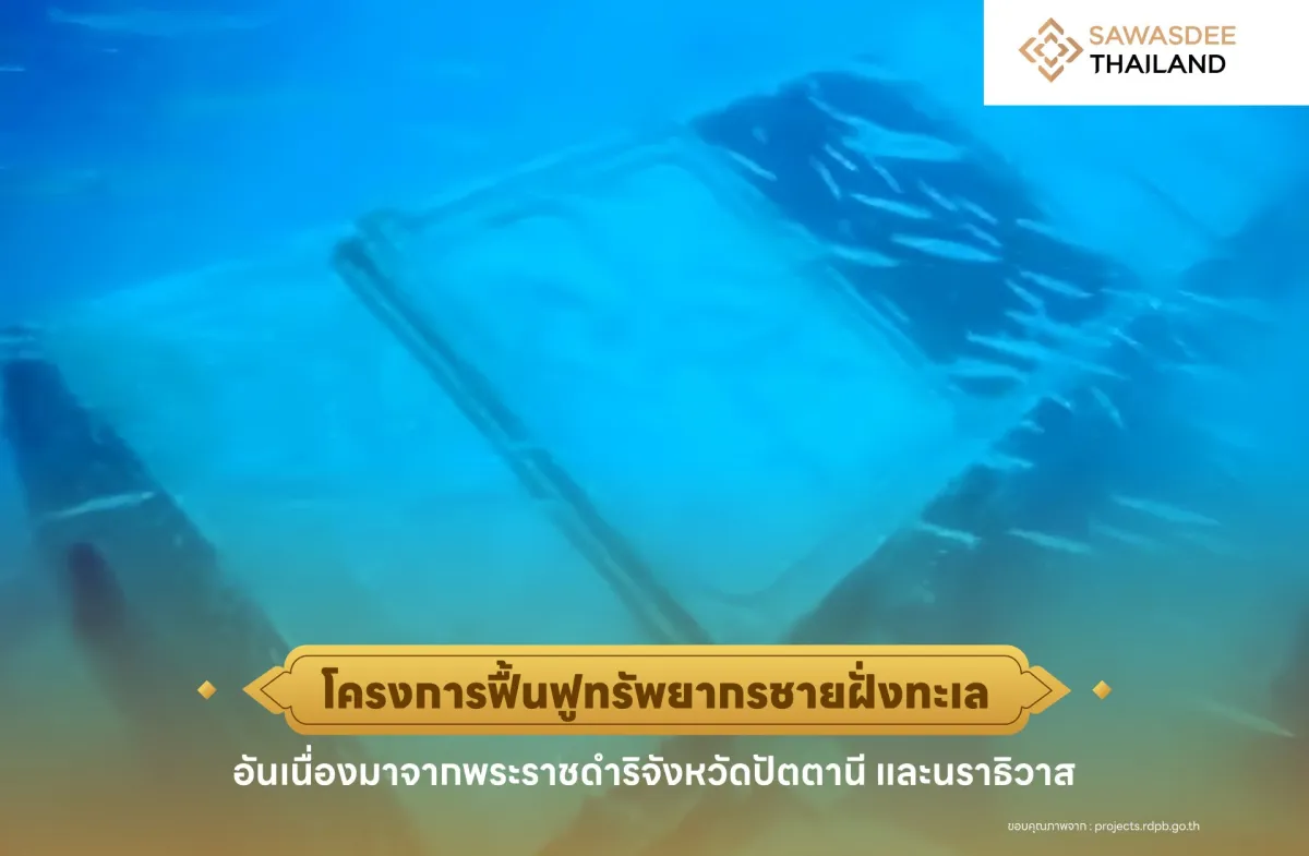 โครงการฟื้นฟูทรัพยากรชายฝั่งทะเลอันเนื่องมาจากพระราชดำริจังหวัดปัตตานี และนราธิวาส