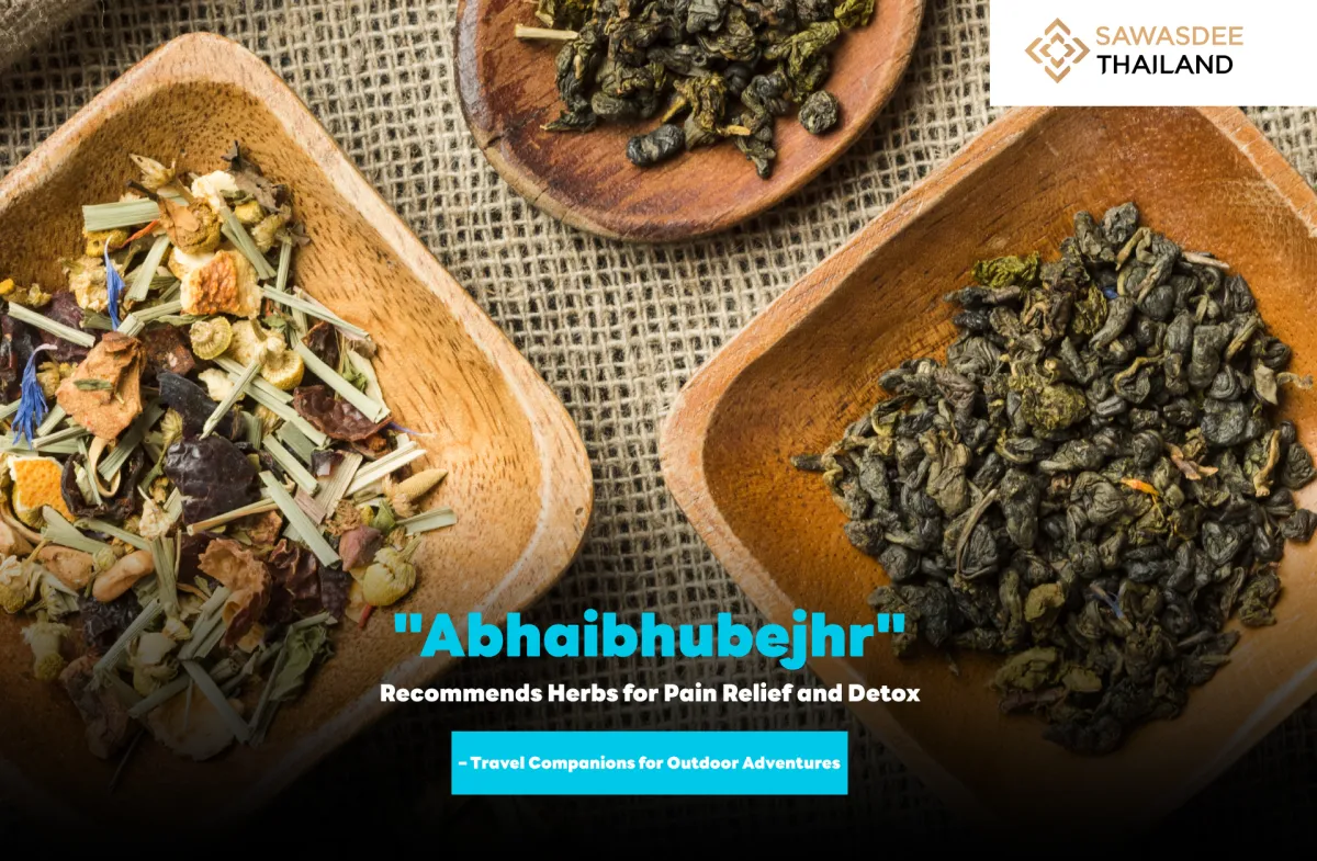 "Abhaibhubejhr" Recommends Herbs for Pain Relief and Detox – Travel Companions for Outdoor Adventures