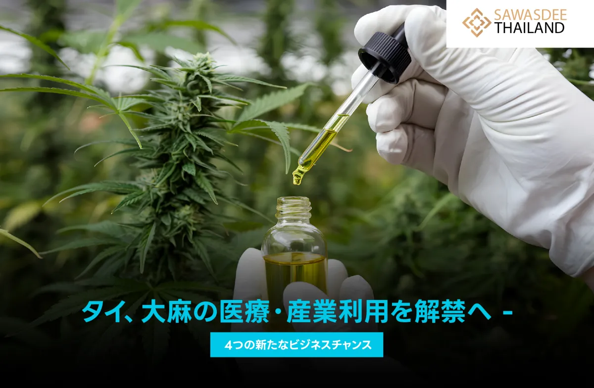 タイ、大麻の医療・産業利用を解禁へ - 4つの新たなビジネスチャンス