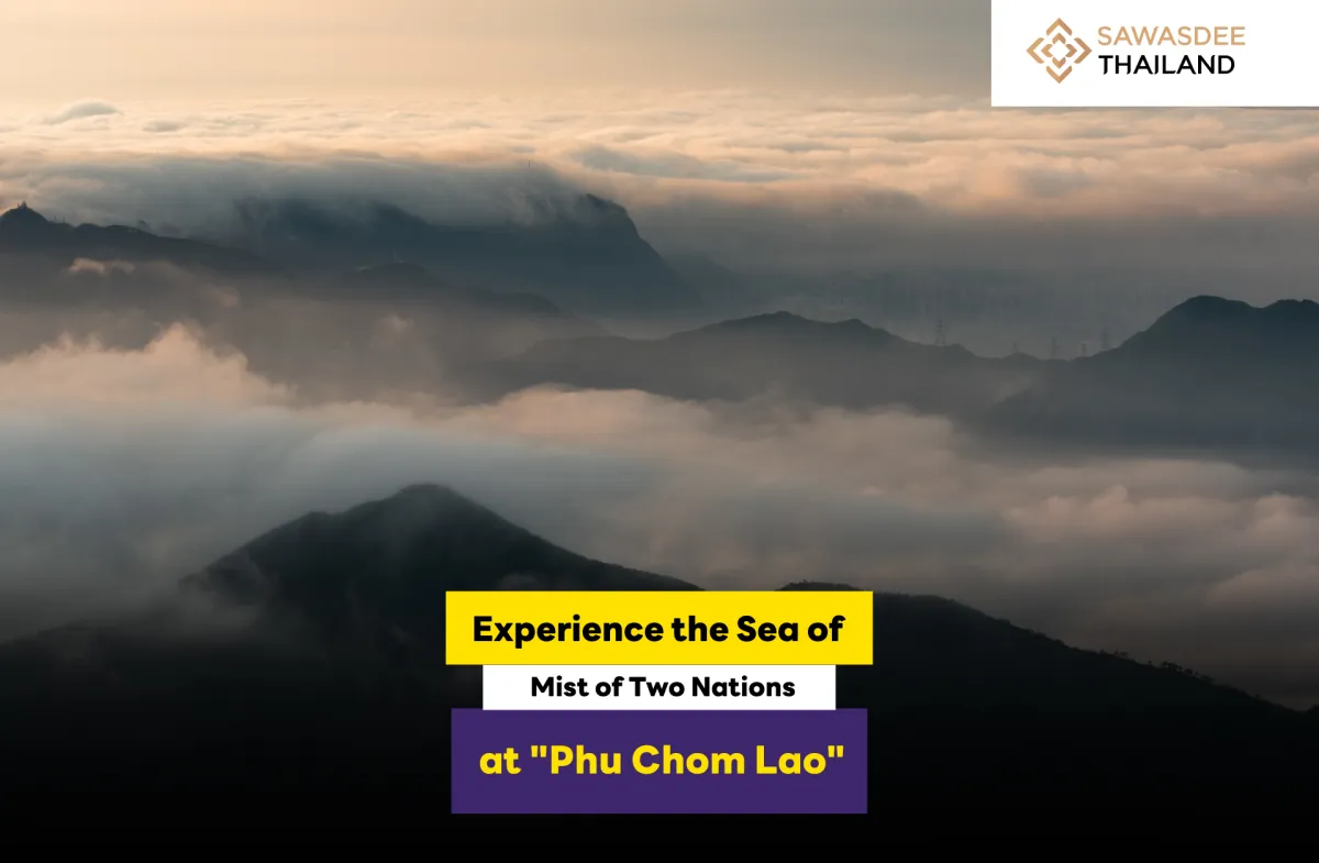 Experience the Sea of Mist of Two Nations at "Phu Chom Lao"