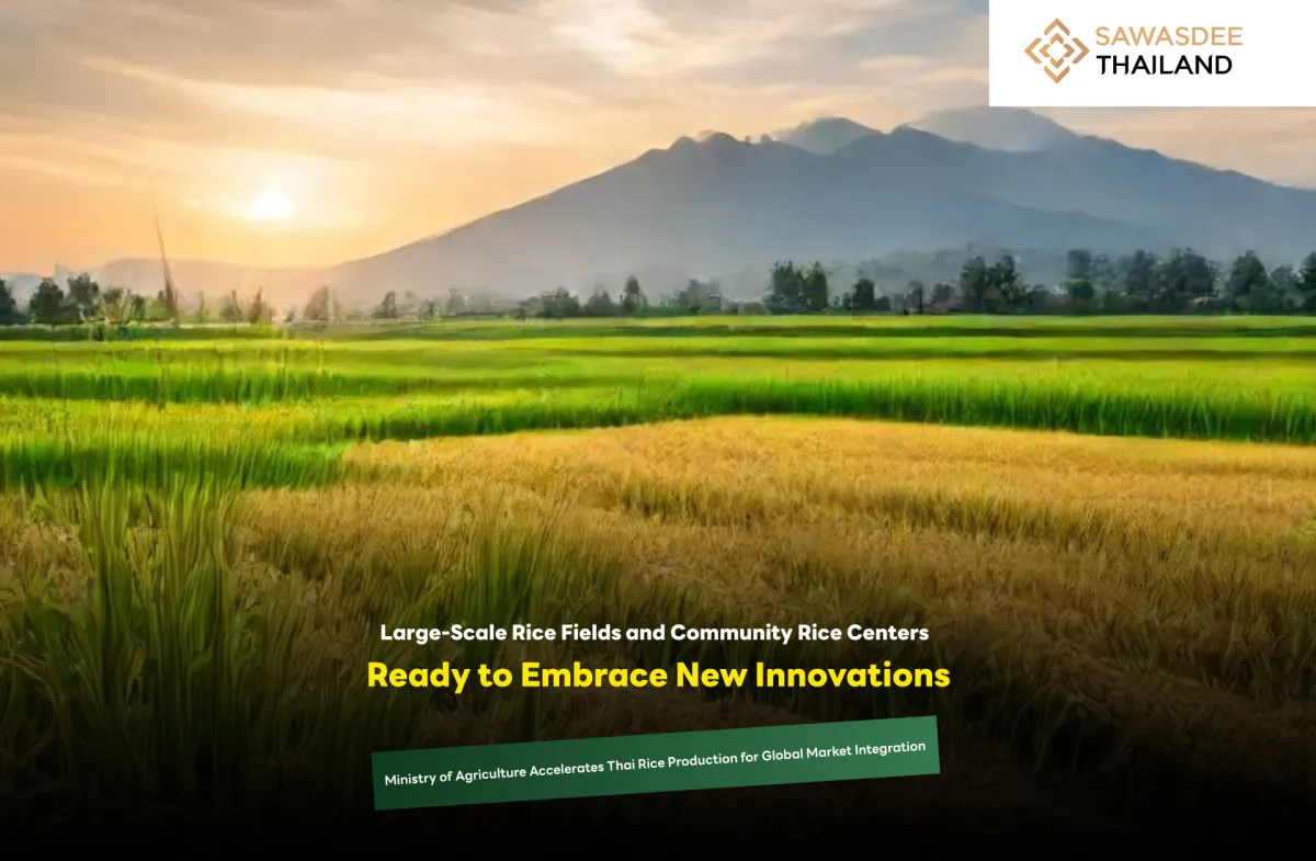 Large-Scale Rice Fields and Community Rice Centers Ready to Embrace New Innovations – Ministry of Agriculture Accelerates Thai Rice Production for Global Market Integration