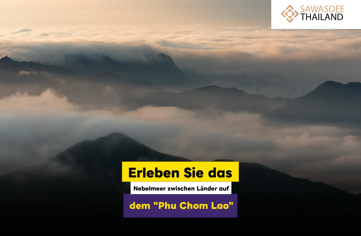 Erleben Sie das Nebelmeer zweier Länder auf dem "Phu Chom Lao"