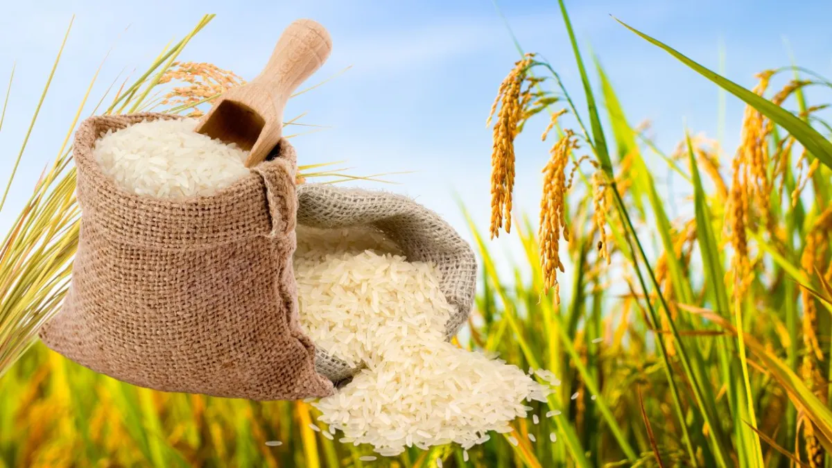 Thai Rice Exports Tally 8.35 Million Tons during 10 Months of 2024