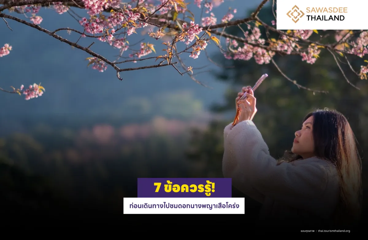 7 ข้อควรรู้! ก่อนเดินทางไปชมดอกนางพญาเสือโคร่ง