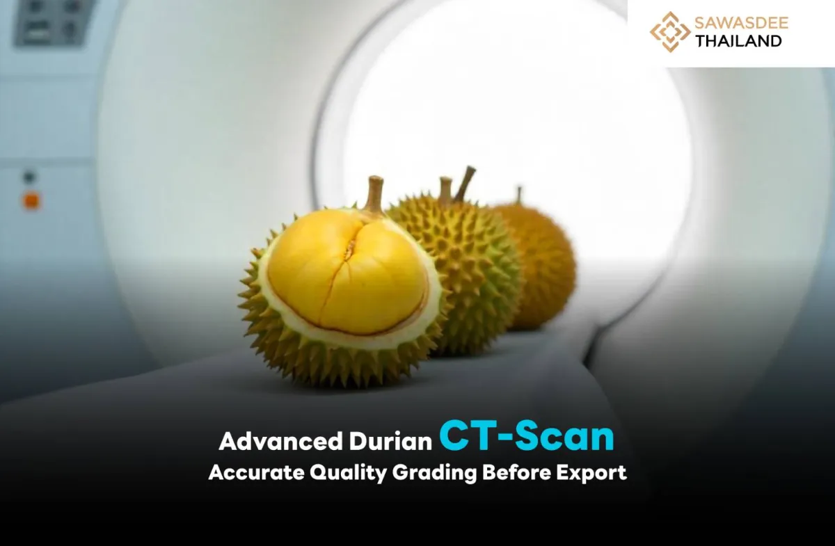 Advanced Durian CT-Scan  Accurate Quality Grading Before Export