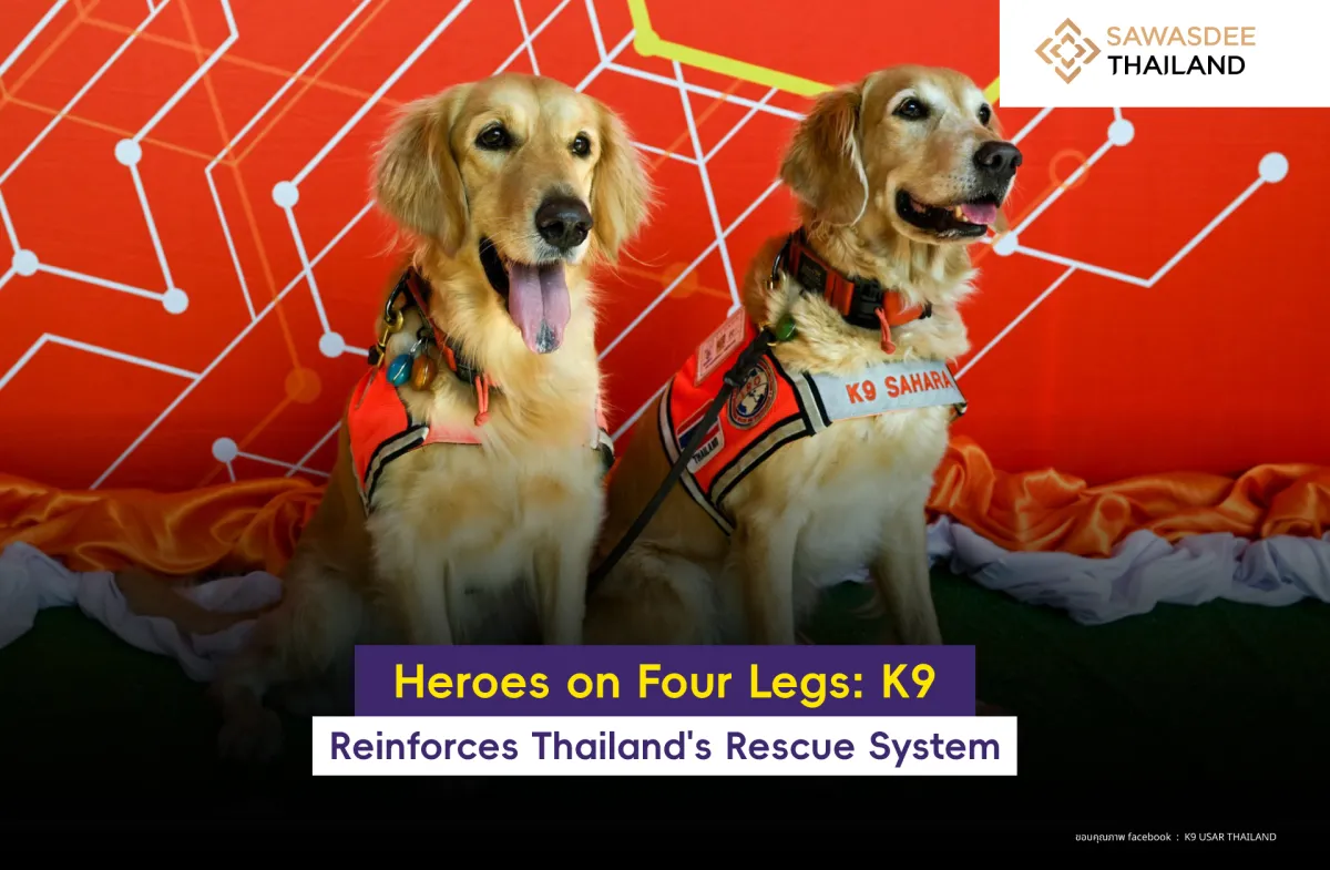 Heroes on Four Legs: K9 Reinforces Thailand's Rescue System