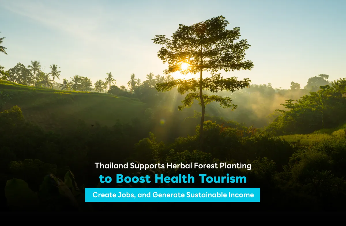 Thailand Supports Herbal Forest Planting to Boost Health Tourism, Create Jobs, and Generate Sustainable Income
