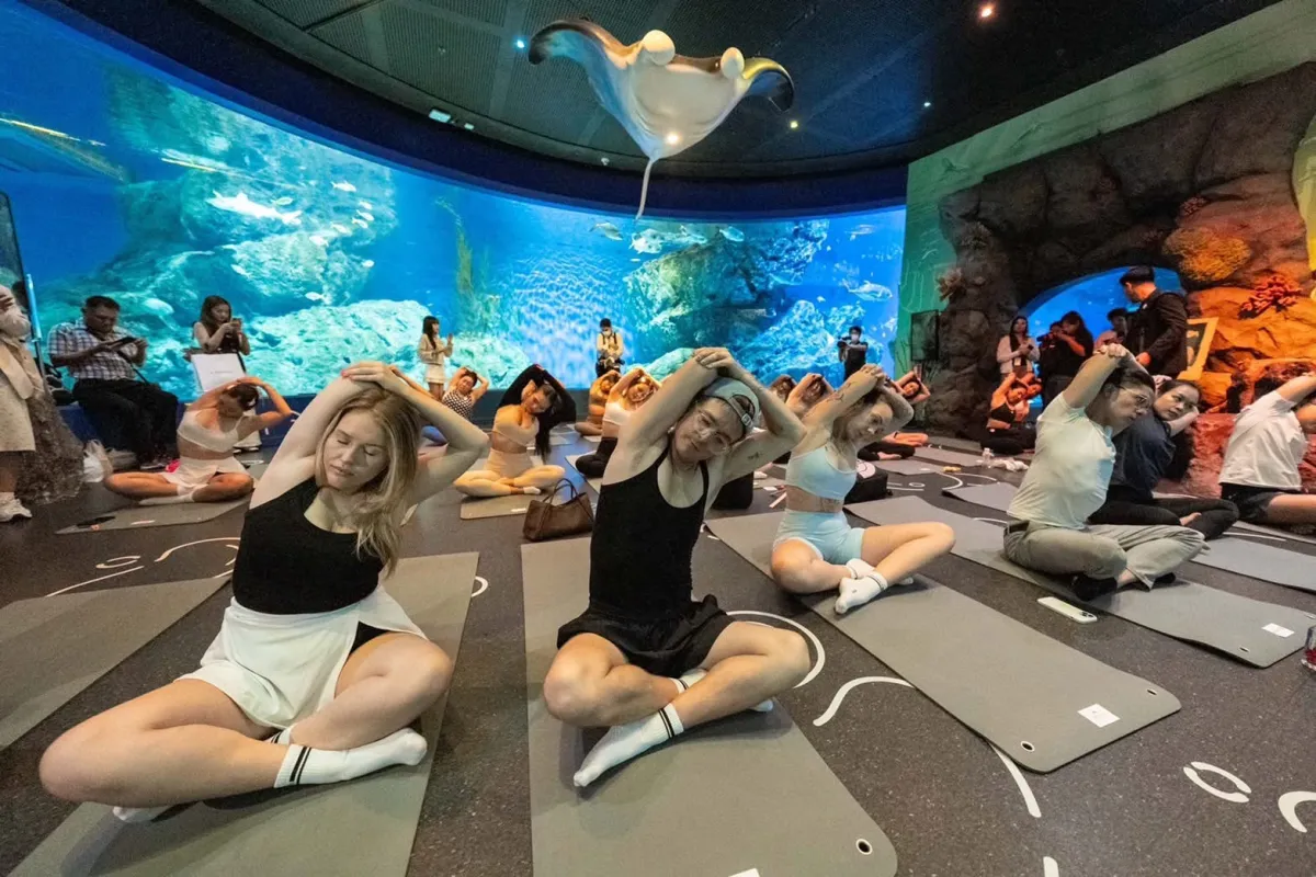 เปิดตัวแคมเปญ Grand Wellness Moment ชูกิจกรรม Aquarium Yoga  ผลักดันท่องเที่ยวกลุ่ม Health & Wellness