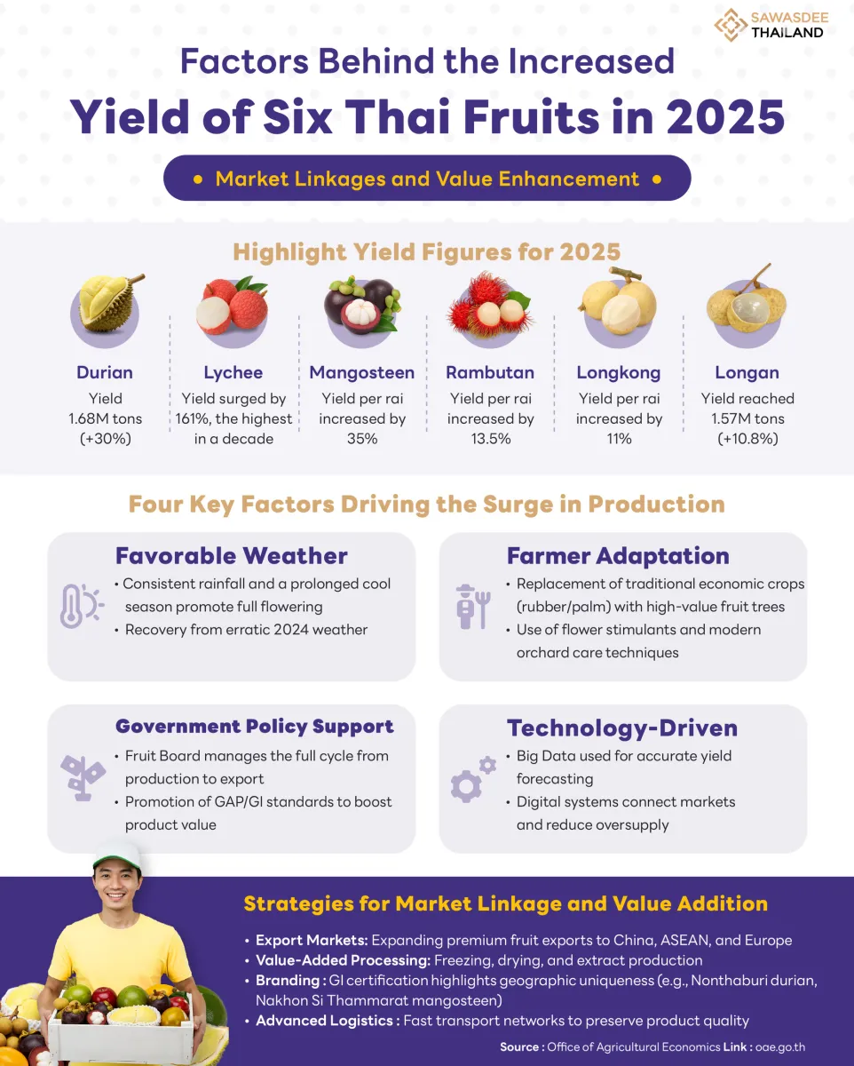 Factors Behind the Increased Yield of Six Thai Fruits in 2025: Market Linkages and Value Enhancement
