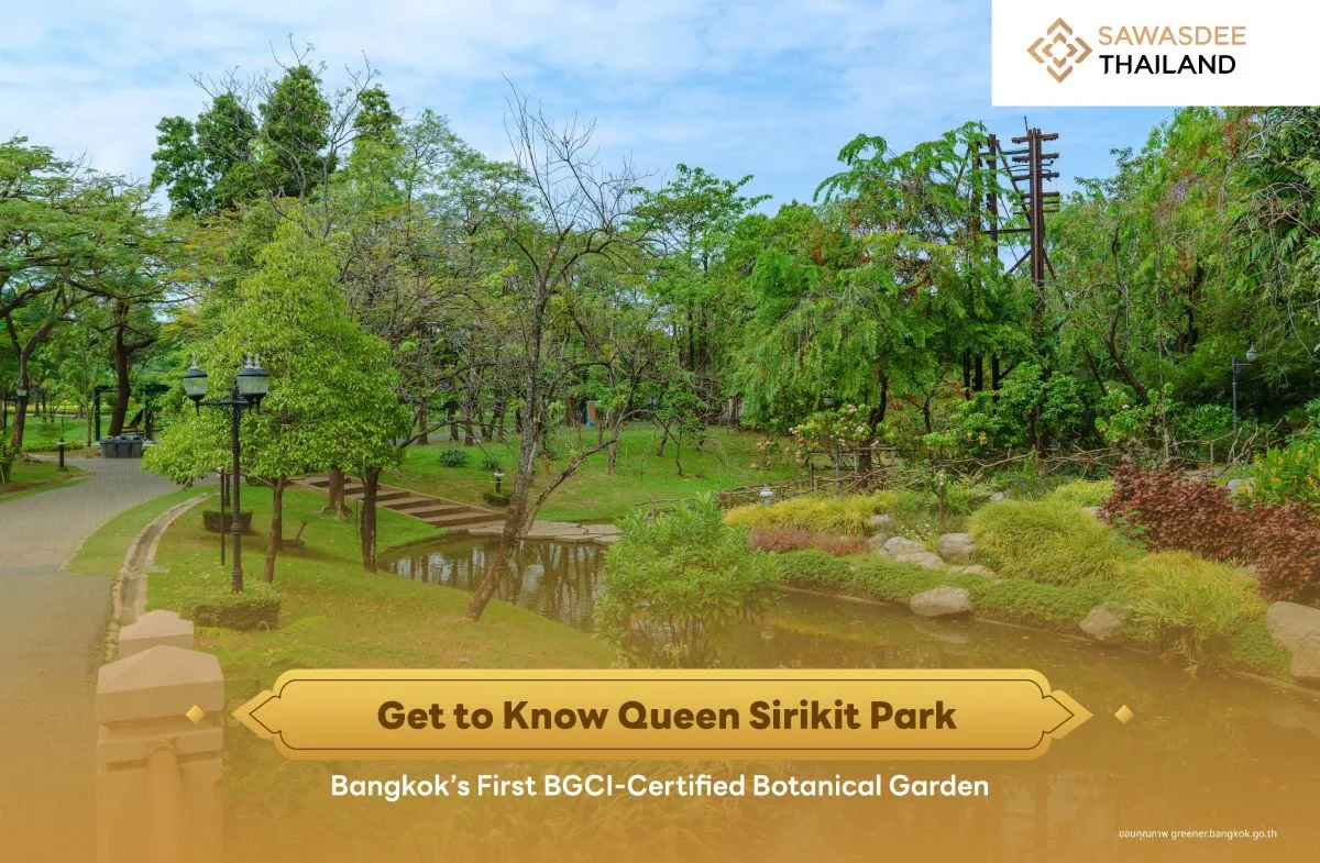Get to Know Queen Sirikit Park: Bangkok’s First BGCI-Certified Botanical Garden