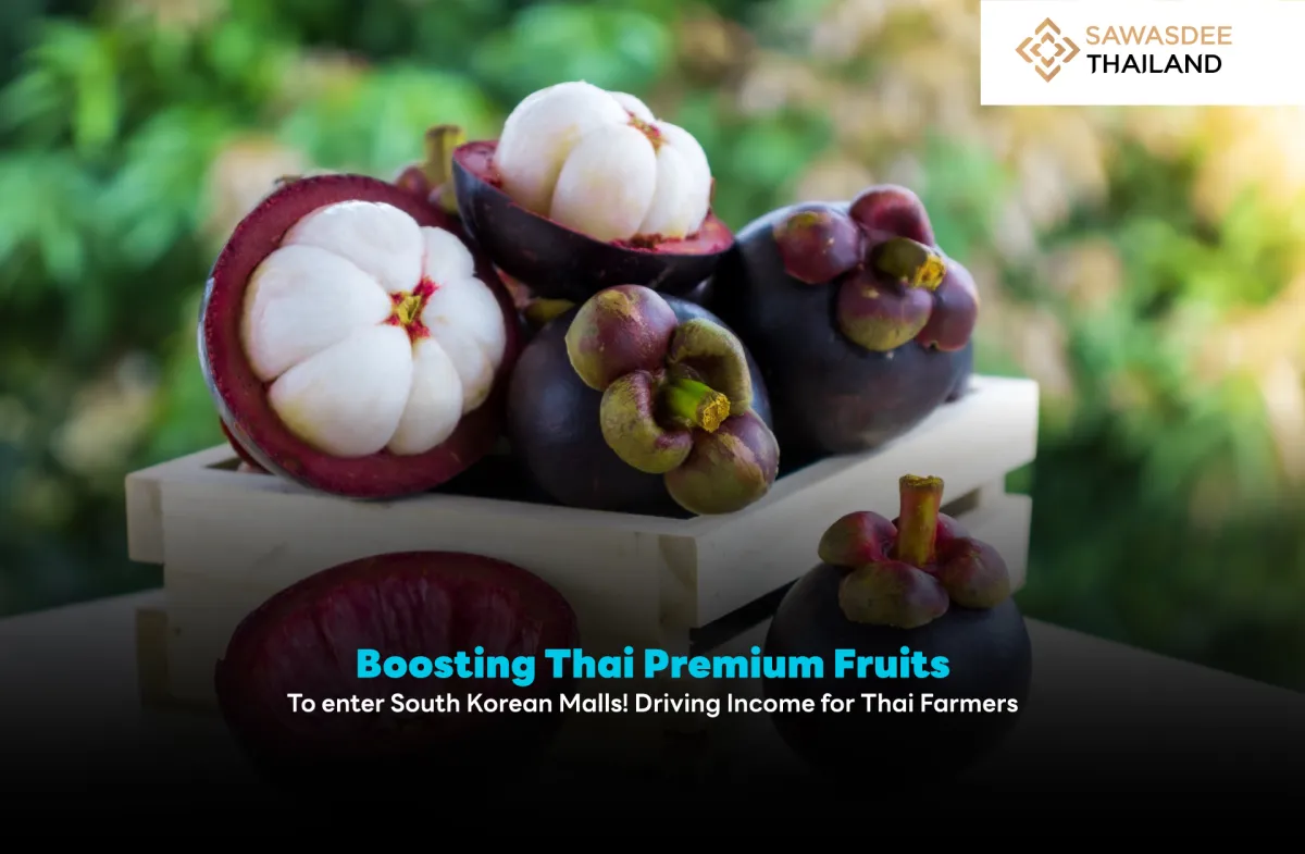 Boosting Thai Premium Fruits to Enter South Korean Malls!  Driving Income for Thai Farmers