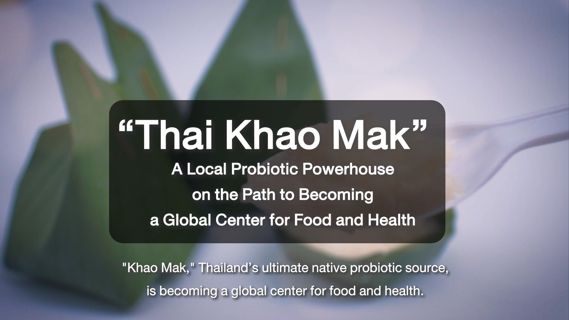 "Khao Mak," Thailand’s ultimate native probiotic source, is becoming a global center for food and health.