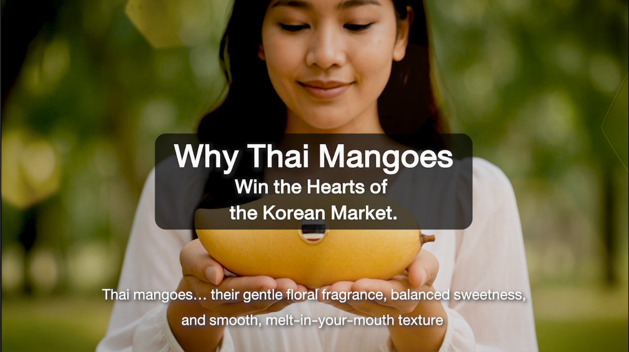 Why Thai Mangoes Win the Hearts of the Korean Market.
