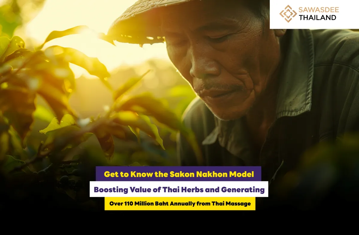 Get to Know the Sakon Nakhon Model  Boosting Value of Thai Herbs and Generating  Over 110 Million Baht Annually from Thai Massage