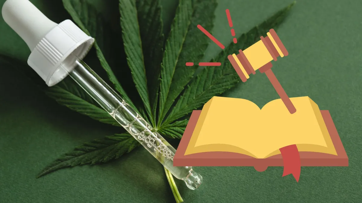 Cannabis Now Strictly Regulated in Thailand – Important Notice for Tourists