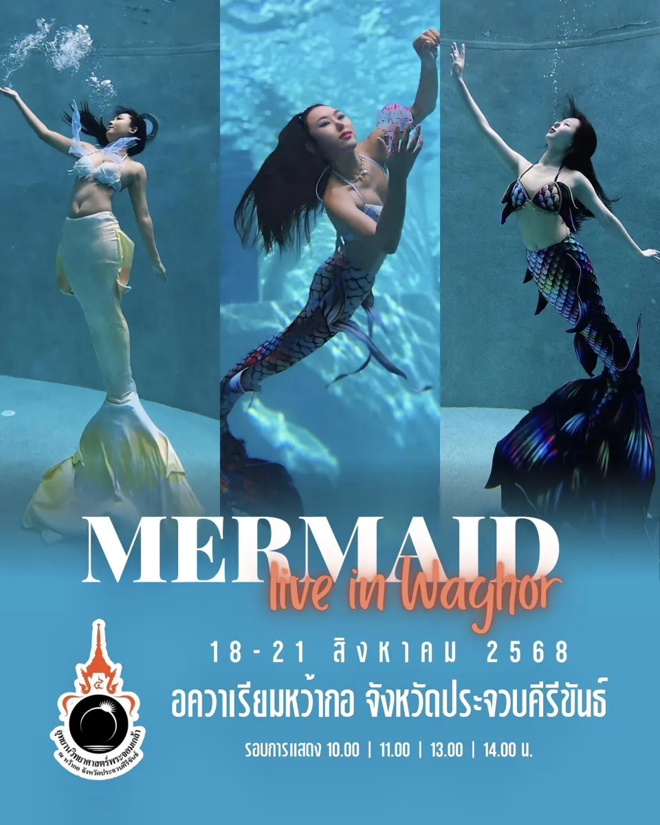 Mermaid Live at Waghor