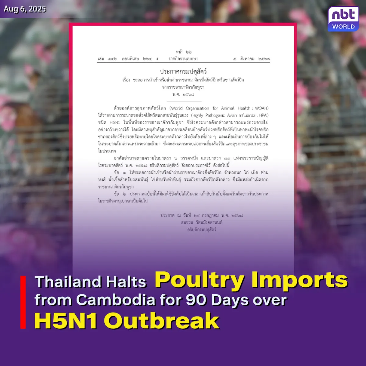 Thailand Halts Poultry imports from Cambodia for 90 Days over H5N1 Outbreak