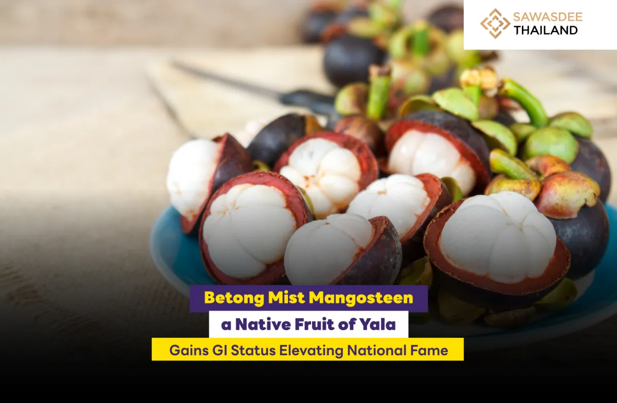 Betong Mist Mangosteen A Native Fruit of Yala Gains GI Status Elevating National Fame