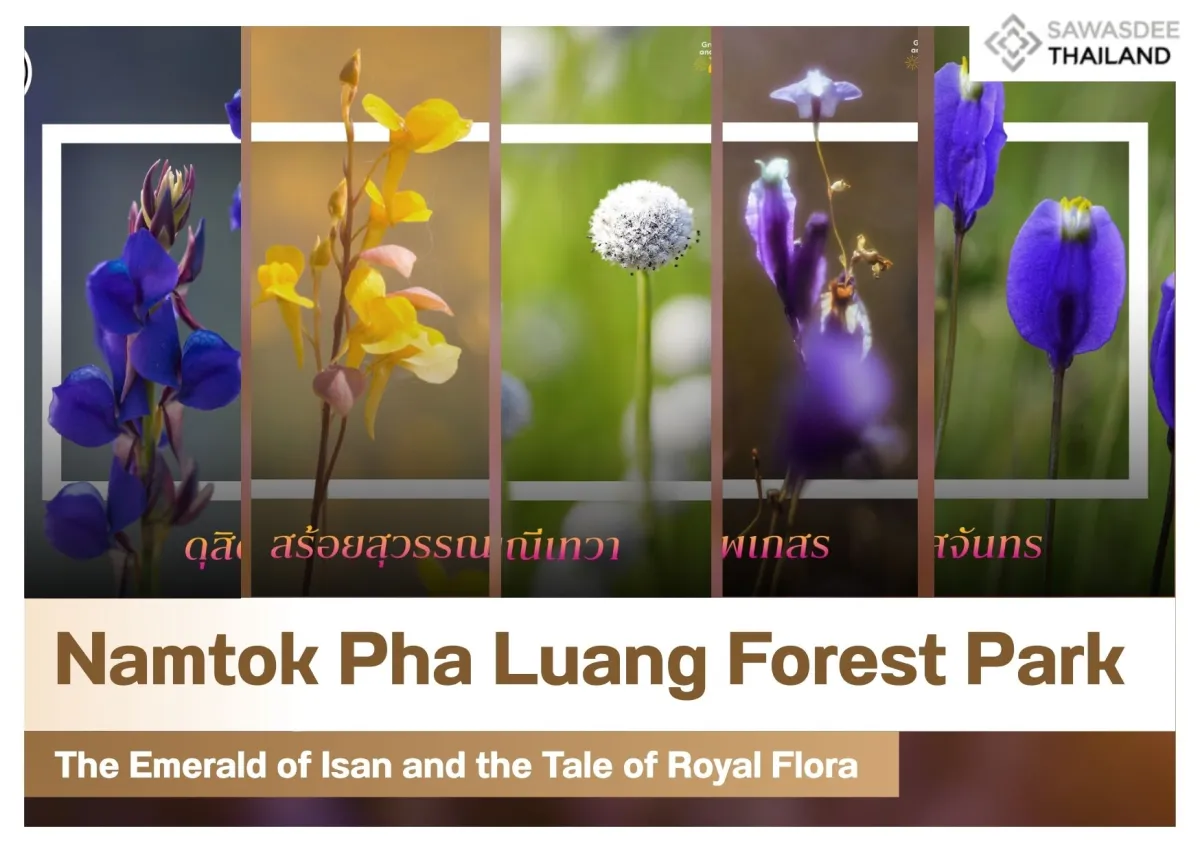 Namtok Pha Luang Forest Park: The Emerald of Isan and the Tale of Royal Flora