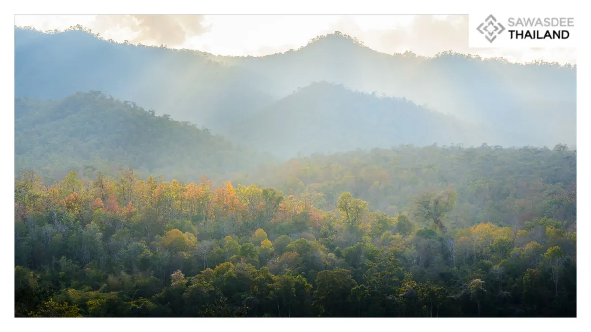 Thailand Launches “Zero Food Waste” Drive in National Parks