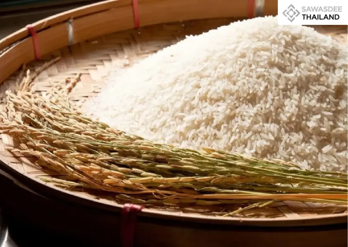 Thailand’s “Exquisite Rice” Strategy Yields 16 Million Baht Export Deal