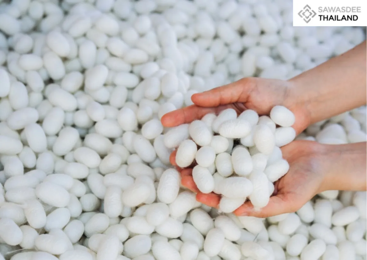 From Thai Silk to the Future of Medicine — Chulalongkorn Engineers Turn Local Resource into Global Medical Innovation