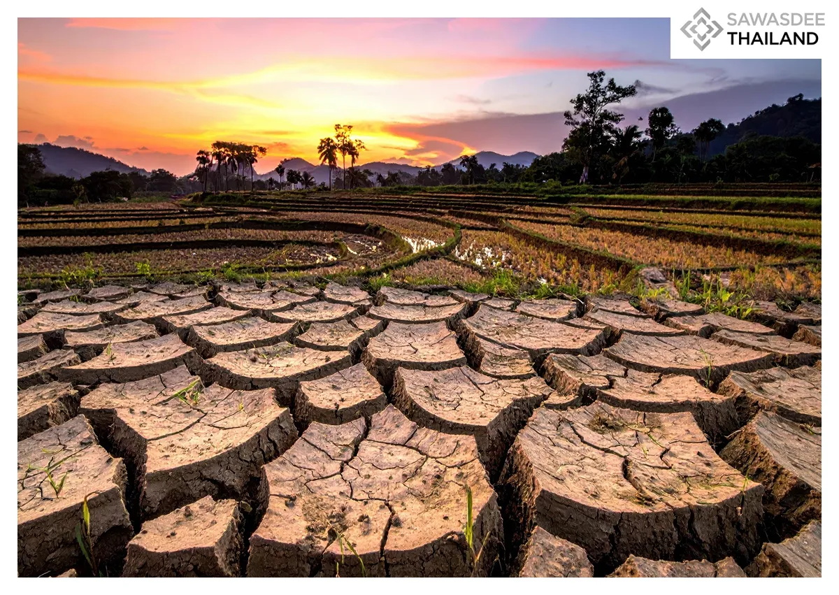 Thailand Shifts to Low-Carbon as El Niño Threatens Extended Drought